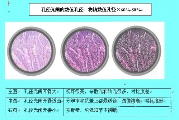 聚光鏡